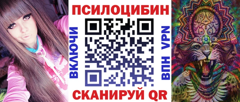 Галлюциногенные грибы Cubensis  цены наркотик  Наволоки 